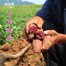 云南高山红土紫薯紫菱一件批发零售以及社区团购活动