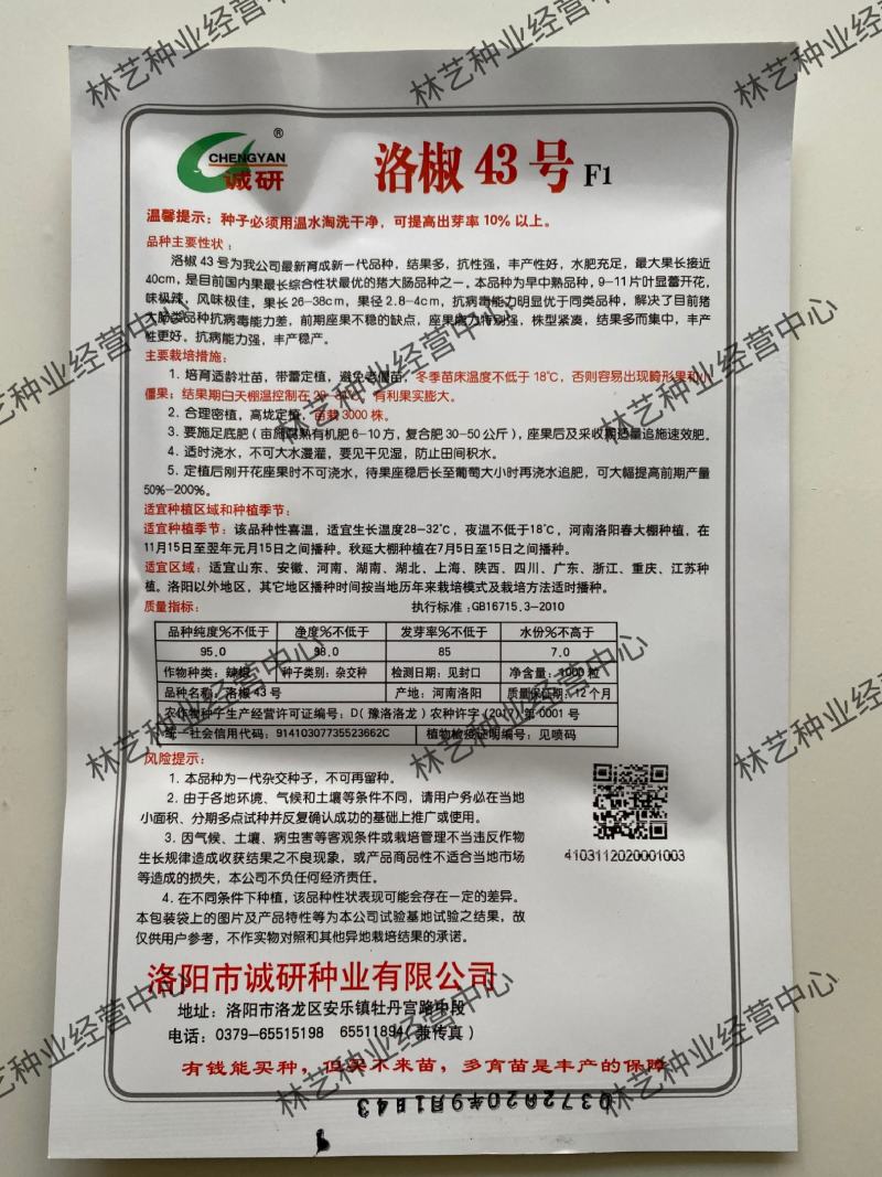 诚研洛椒43号特大果螺丝椒种子巨型高产抗病毒病超辣