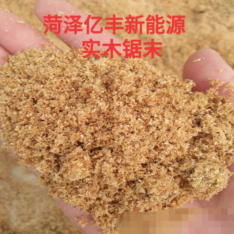 大量出售锯末刨花
