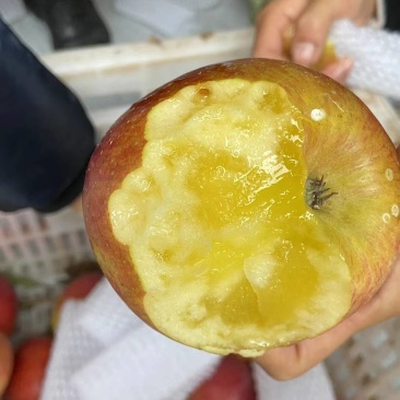 丑苹果对接电商市场商超保质保量可视频看货