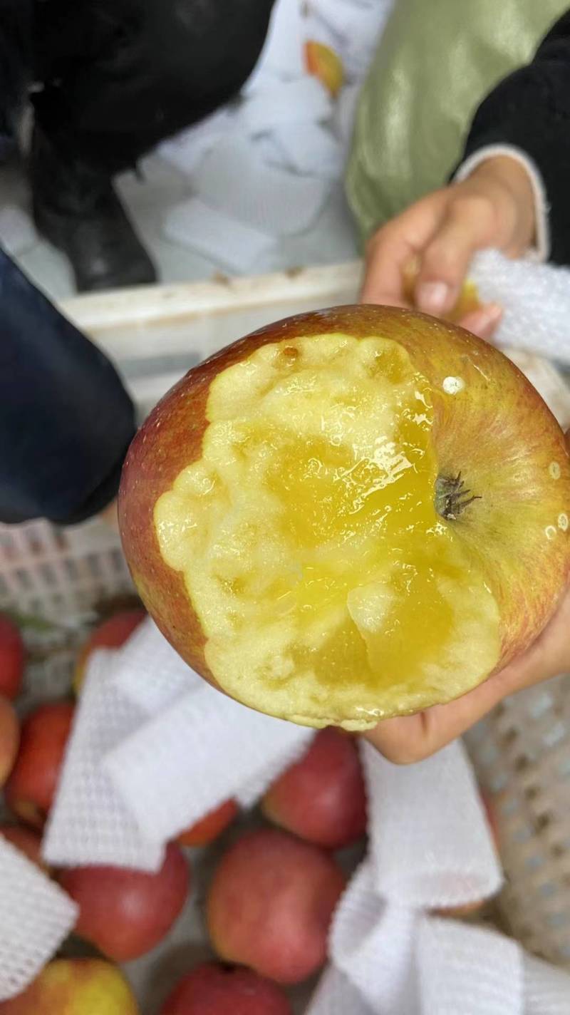 丑苹果对接电商市场商超保质保量可视频看货