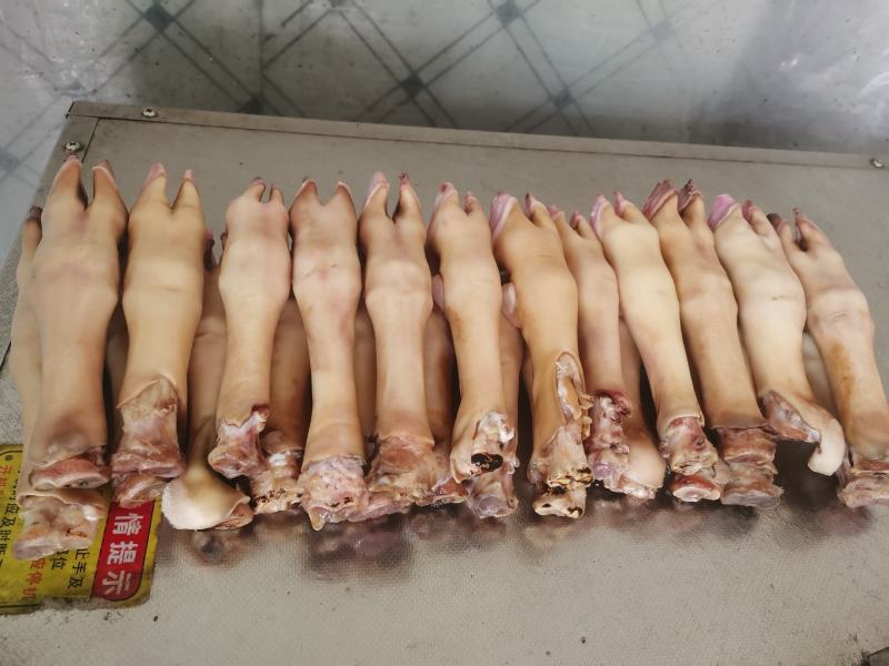 火烧羊蹄，干净，新鲜，常年批发，货源充足稳定，支持视频看