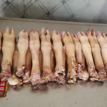 火烧羊蹄，干净，新鲜，常年批发，货源充足稳定，支持视频看