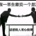 全国货运，物流运输，找车