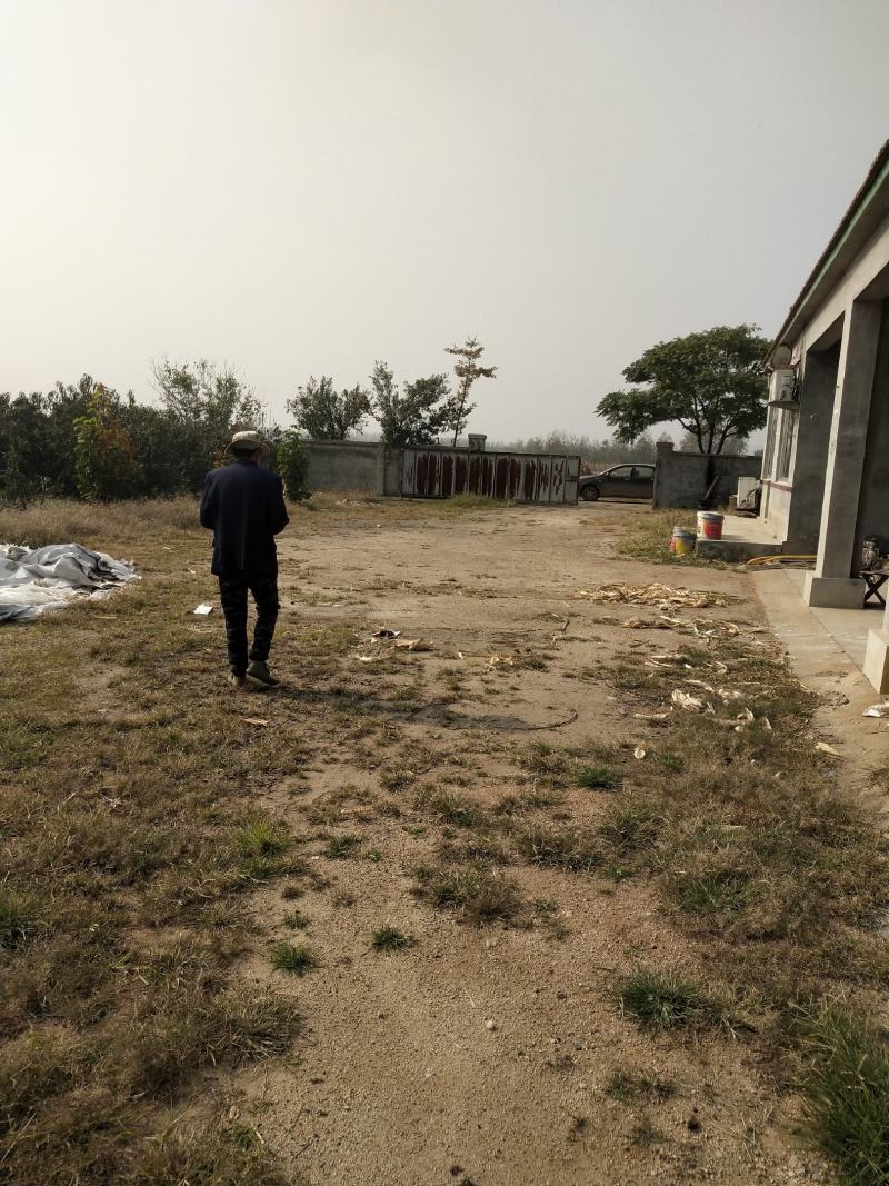 土地山东潍坊现有桃园对外承包转让位置佳设施全接手就能盈利