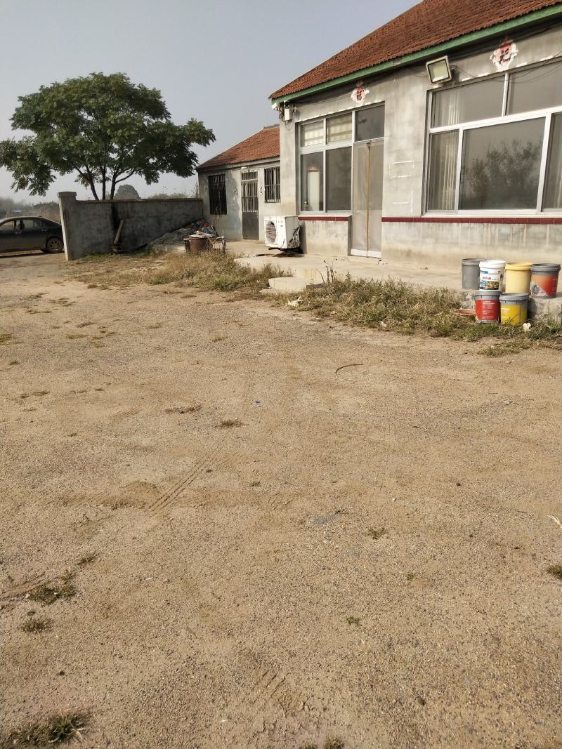 土地山东潍坊现有桃园对外承包转让位置佳设施全接手就能盈利