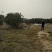 土地山东潍坊现有桃园对外承包转让位置佳设施全接手就能盈利