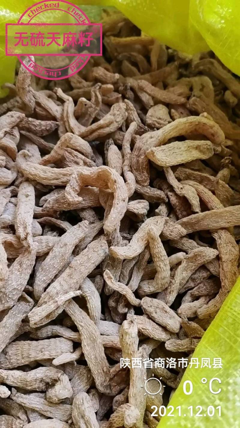 【产地批发】无硫小天麻，短支甜味，合作社自产自销，质优价