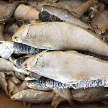 马囗鱼干腌制咸鱼油扣鱼1箱13斤左右产地直销大量现货供应