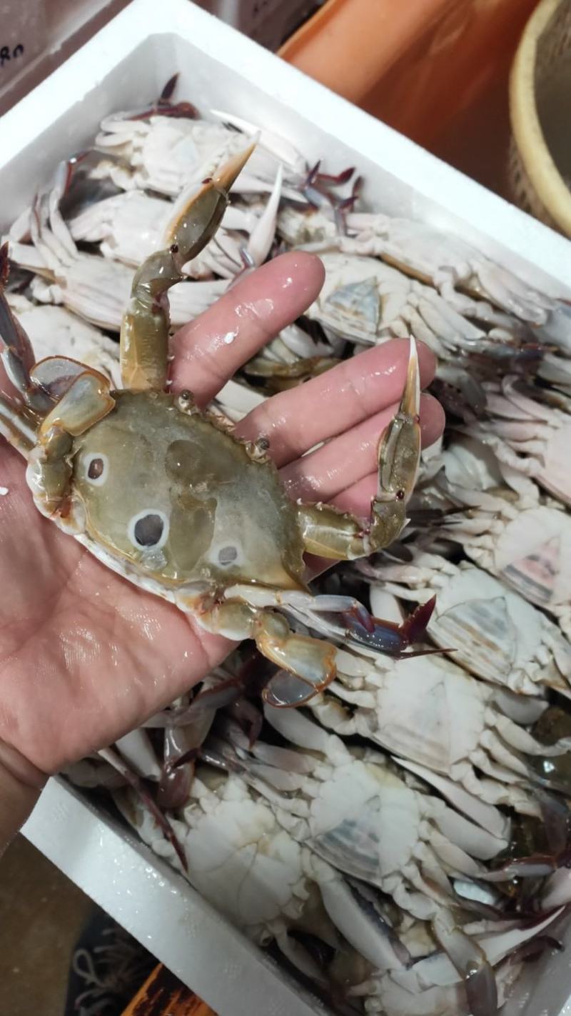 三点蟹60-80克一只规格，蟹肉饱满，厂家直销