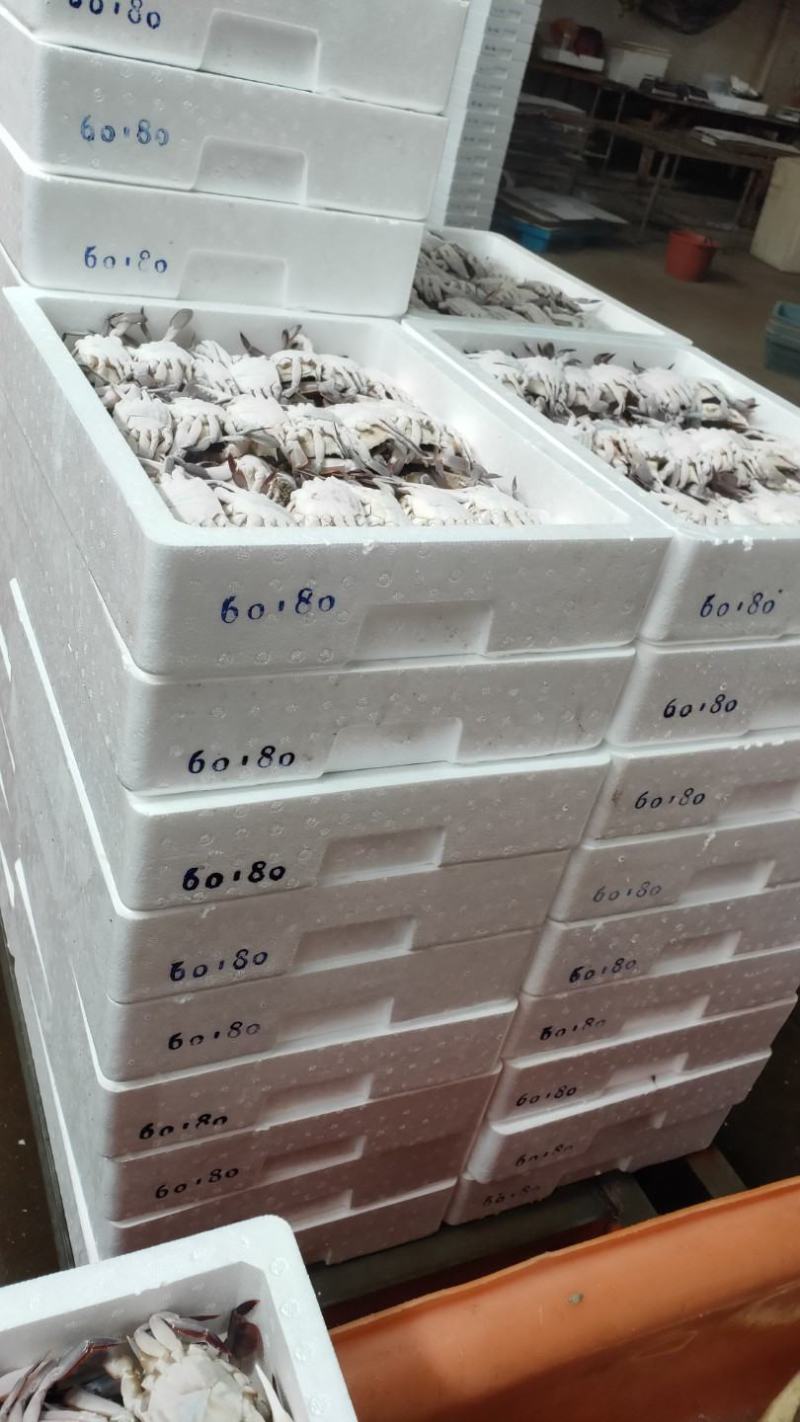 三点蟹60-80克一只规格，蟹肉饱满，厂家直销