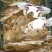 80-100克，冻三点蟹蟹肉饱满新鲜美味冻厂直批