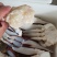 80-100克，冻三点蟹蟹肉饱满新鲜美味冻厂直批