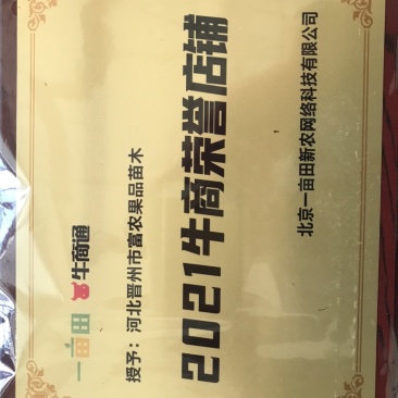 河北皇冠梨清甜可口，各大商超市场对接，汁水甘甜货源充足