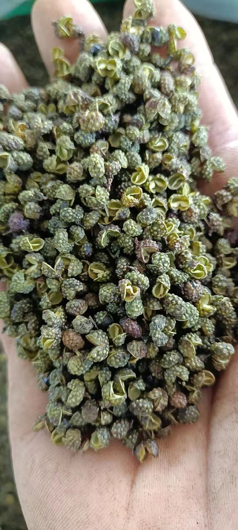 5斤包邮云南青花椒特尖金阳青椒青麻椒特麻特香不麻不要钱