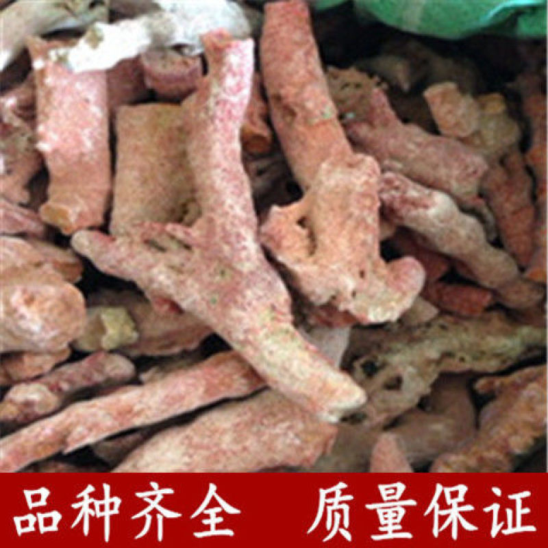 珊瑚菌，珊瑚，海底柏，草珊瑚货好产地广东