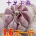 好大蒜金乡产全国接单承接电商订单有冷库设备全备货快一条龙服务