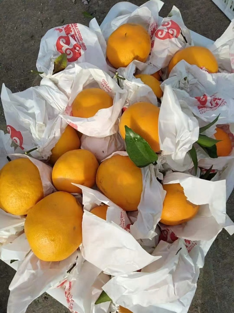 大量有货高次大量批发一手货源
