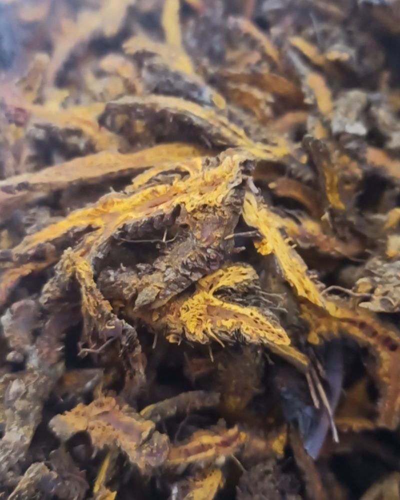 黄连单枝黄连个片中药材批发黄连质量保证量大从优