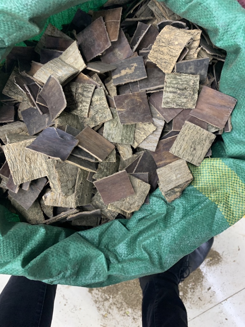 杜仲皮杜仲皮一公斤起批正品保证