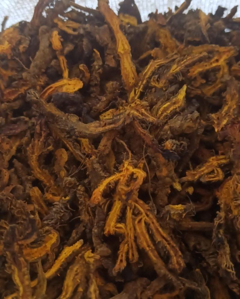 黄连单枝黄连个片中药材批发黄连质量保证量大从优