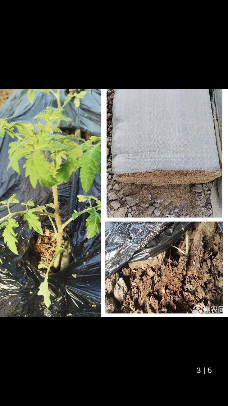压缩稻壳打包稻壳谷壳各规格统糠筛糠除尘过筛稻壳