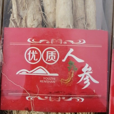 原皮人参