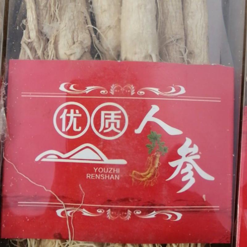 原皮人参