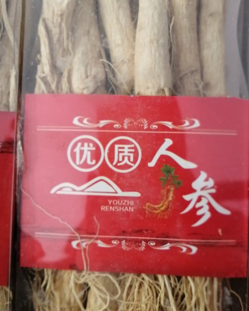 原皮人参