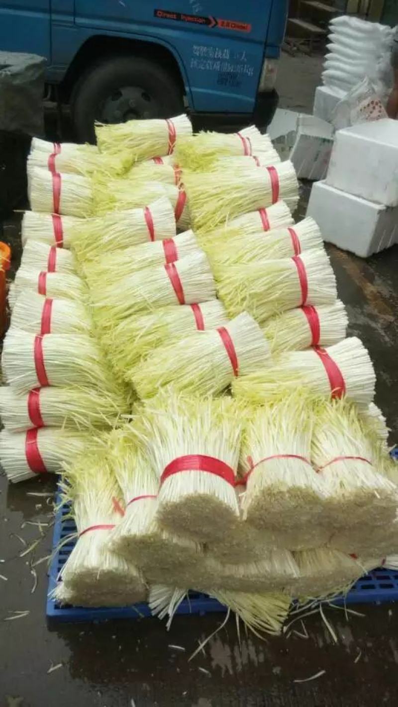 精品韭菜，货源充足30-40公分，价格优惠，基地货源，