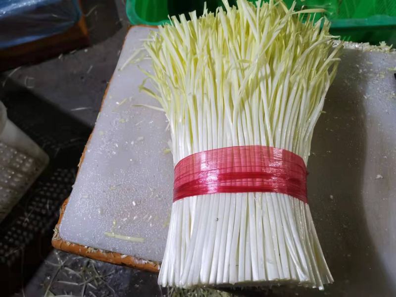 精品韭菜，货源充足30-40公分，价格优惠，基地货源，