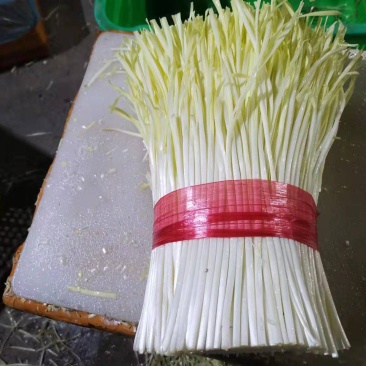 精品韭菜，货源充足30-40公分，价格优惠，基地货源，