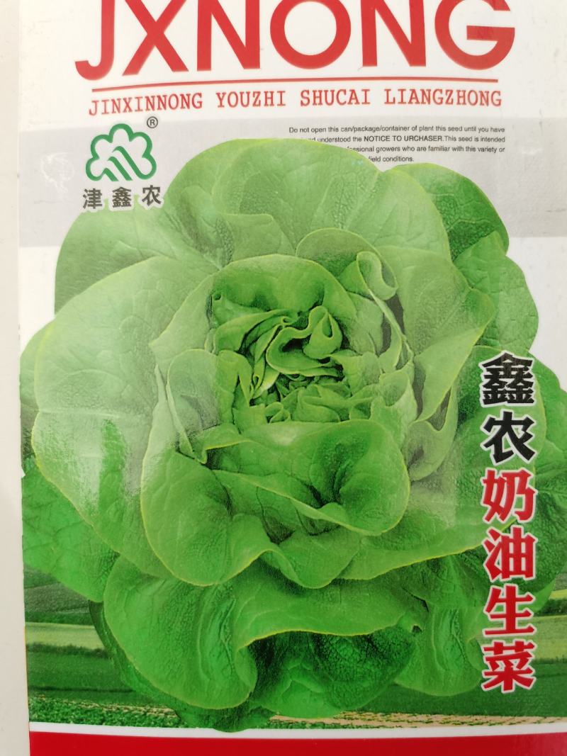 奶油生菜种子阳台菜籽盆栽蔬菜孑菜四季种植