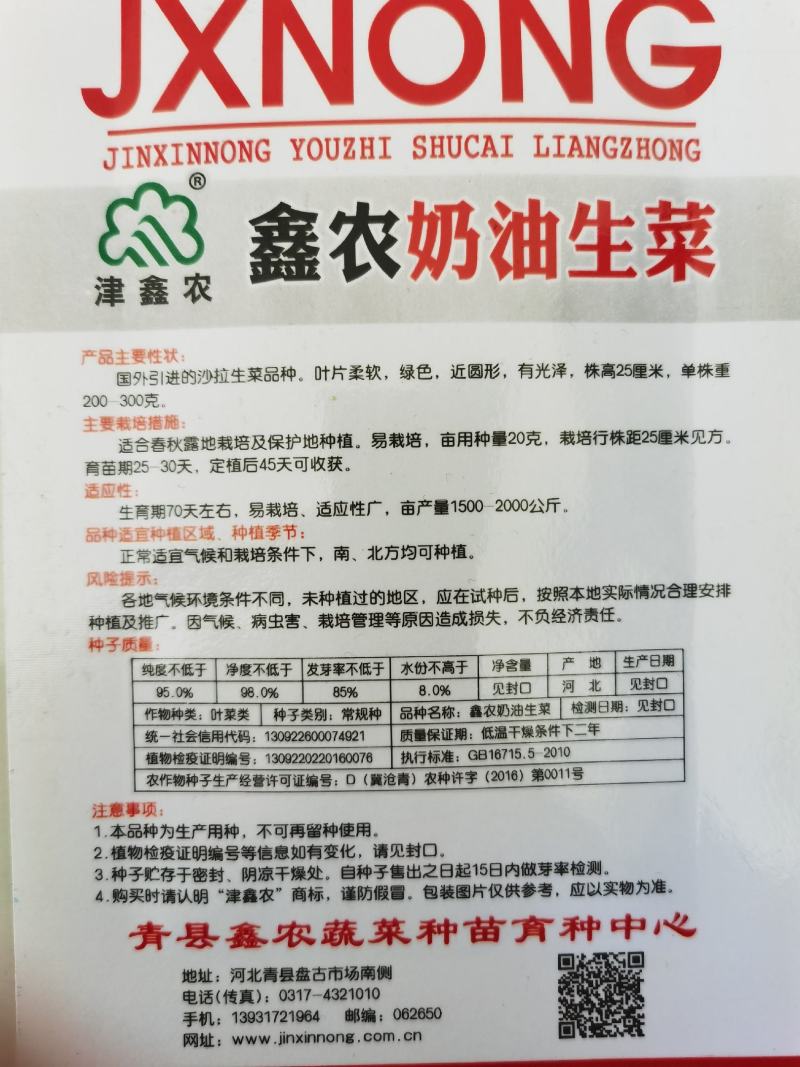 奶油生菜种子阳台菜籽盆栽蔬菜孑菜四季种植