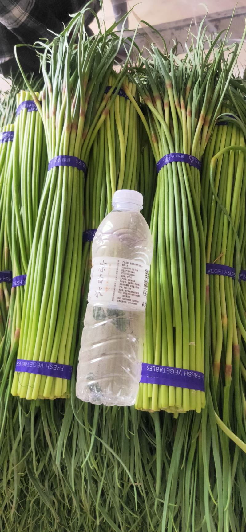 河南红帽蒜薹大量上市产地直发一手货源欢迎新老客户采购
