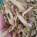 精品秦艽～1公斤起售～量大从优，货源充足，品质保证
