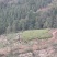 广西高山大肉姜