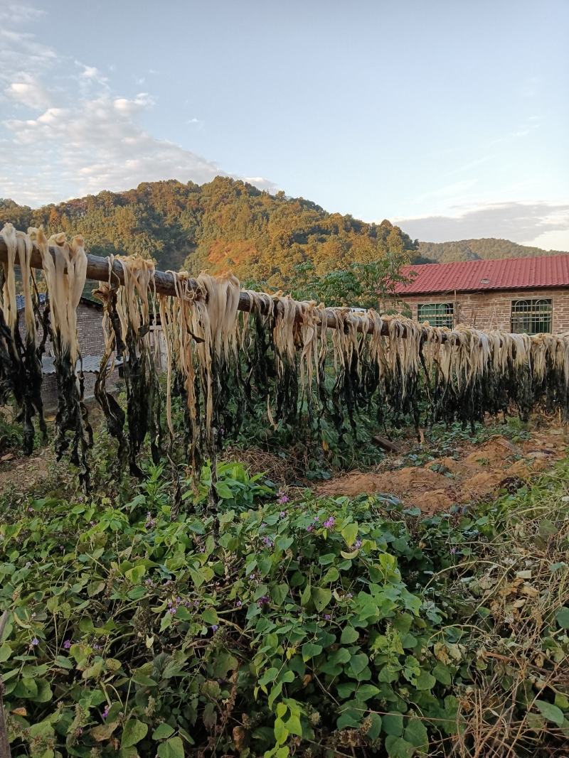 粤北山区韶关白菜干菜味浓正宗农村一家一户收的乡下矮白菜干
