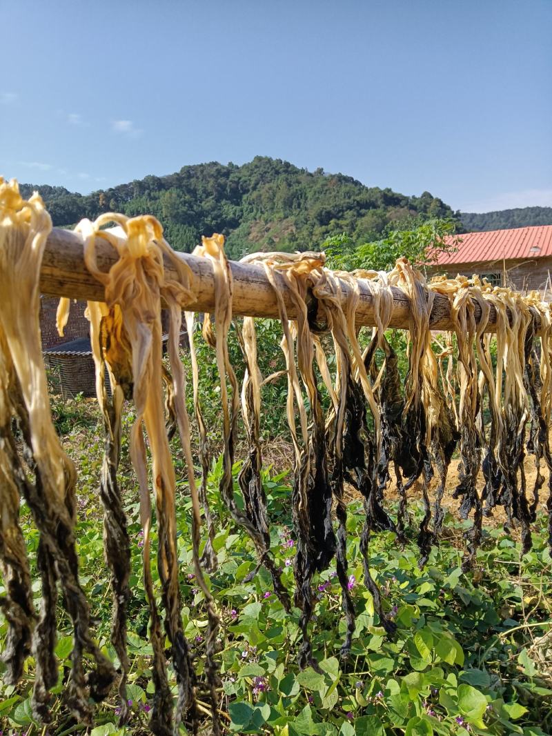 粤北山区韶关白菜干菜味浓正宗农村一家一户收的乡下矮白菜干