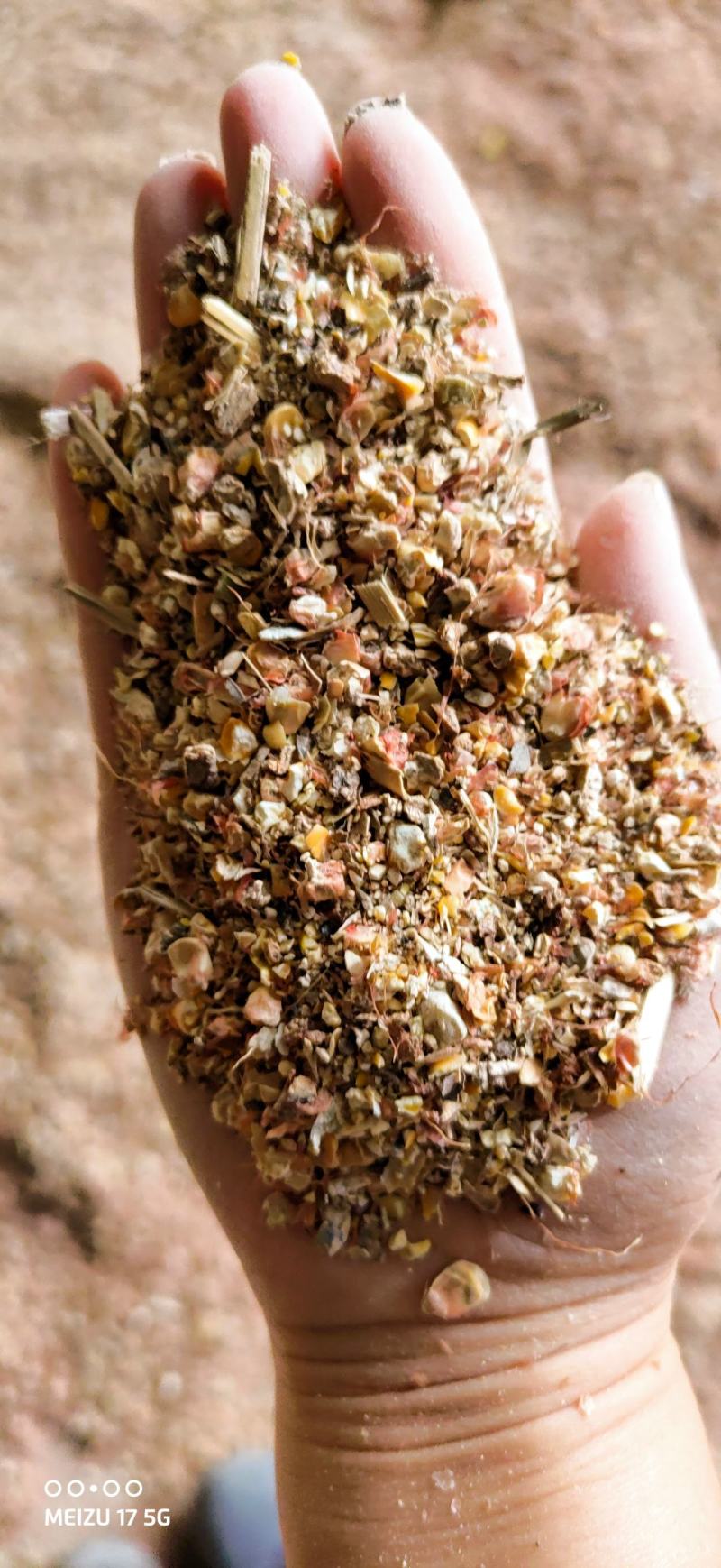 碎玉米毛粮5-6个粮新玉米水分低