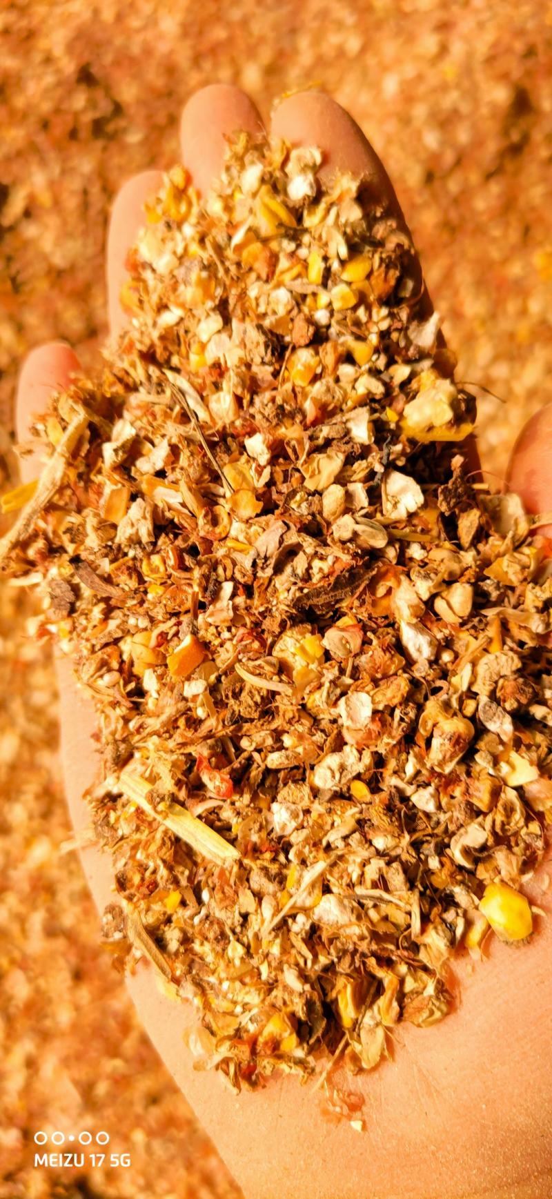 碎玉米毛粮5-6个粮新玉米水分低