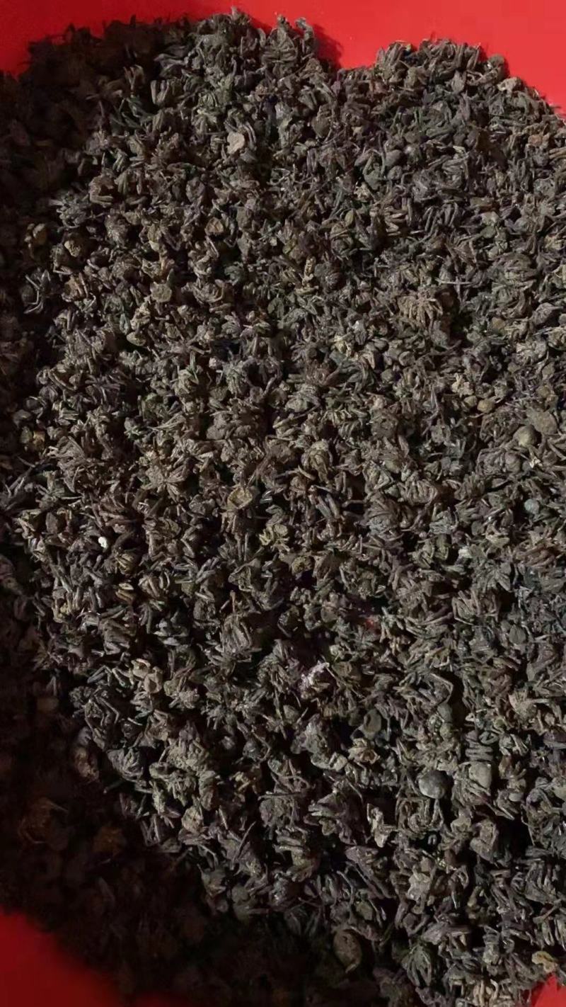 正品黑蜘蛛中药材大蜘蛛药用蜘蛛无硫自然晒干