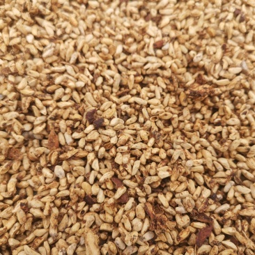 石榴籽：供应各种规格的优质石榴子，含油率18%左右。