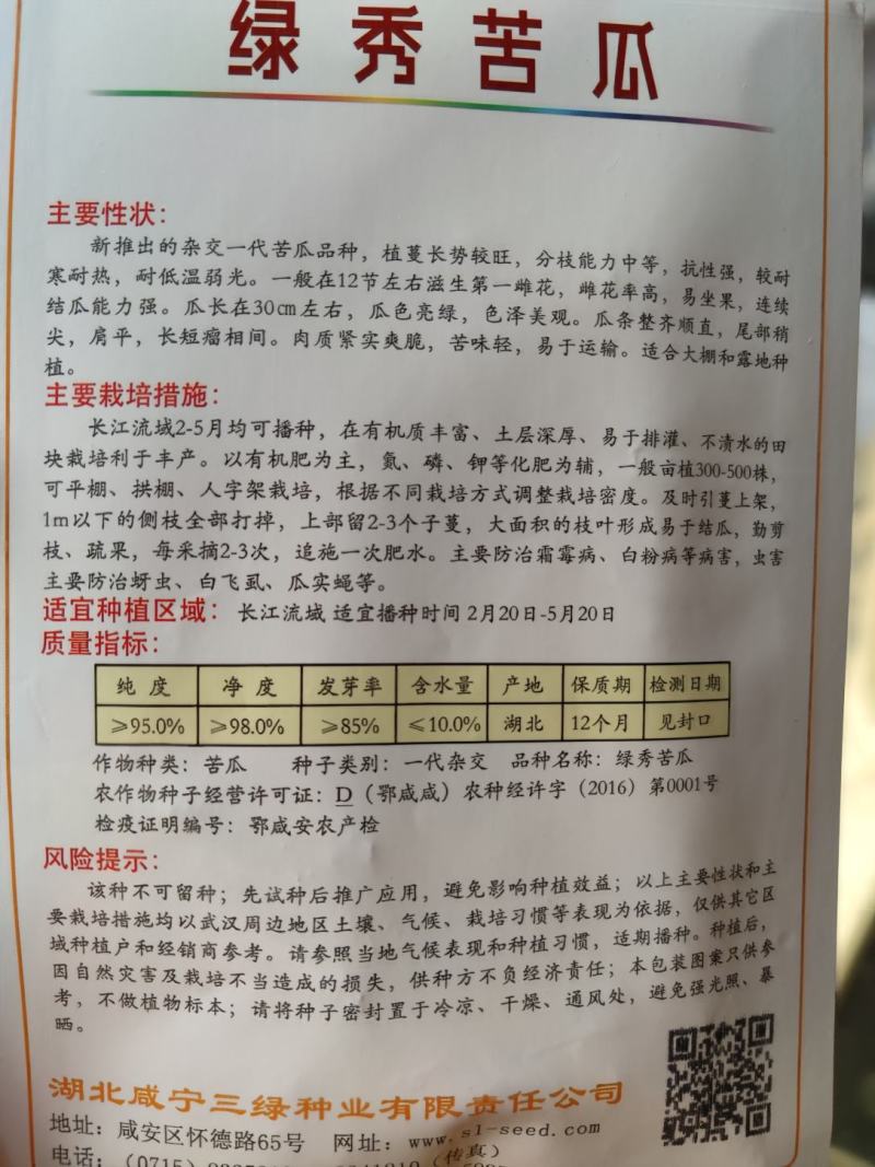 绿秀苦瓜种子