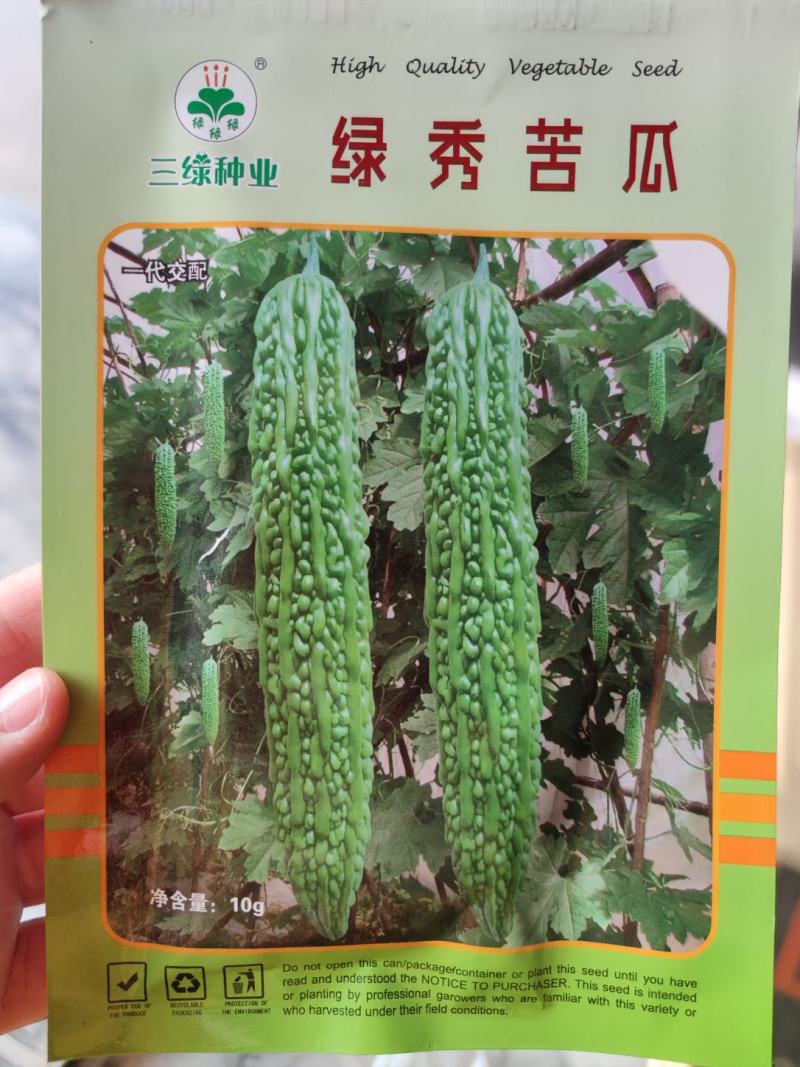 绿秀苦瓜种子