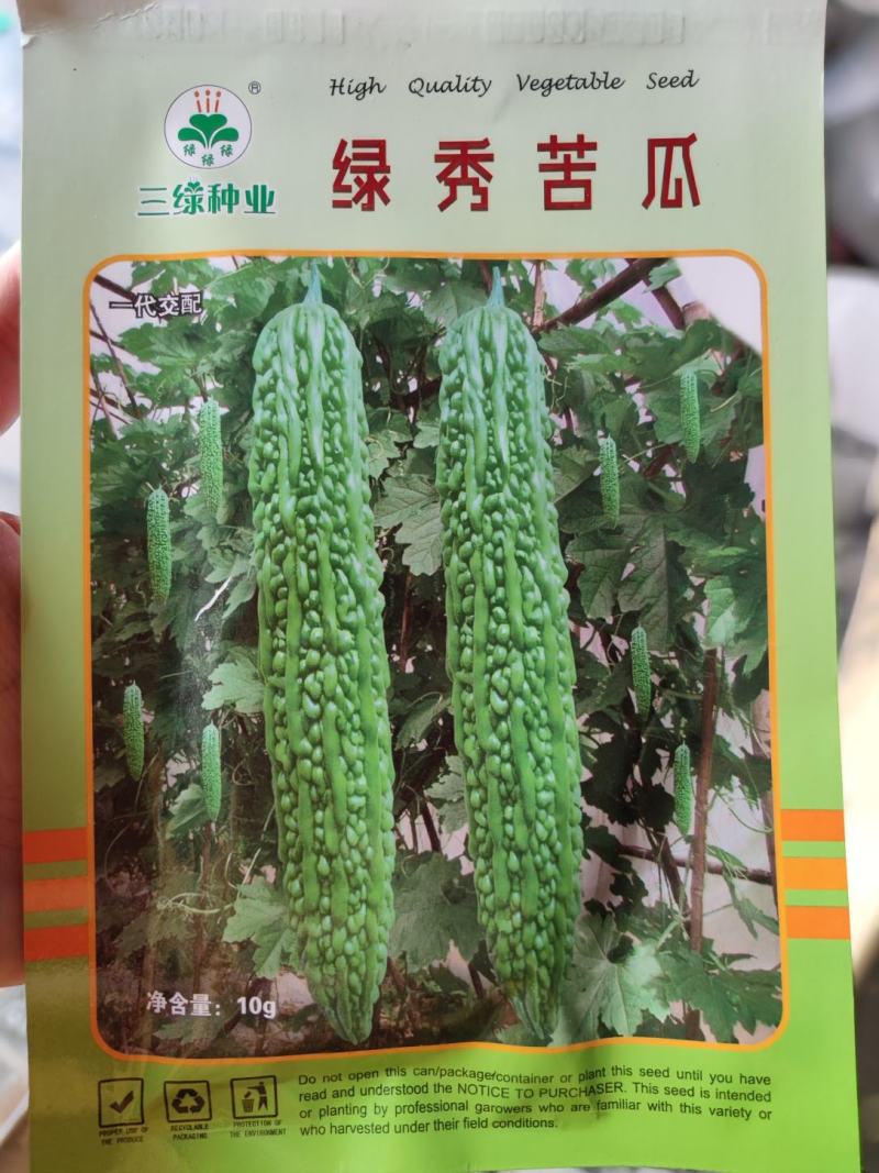 绿秀苦瓜种子