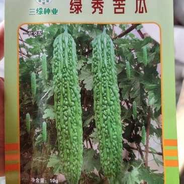 绿秀苦瓜种子
