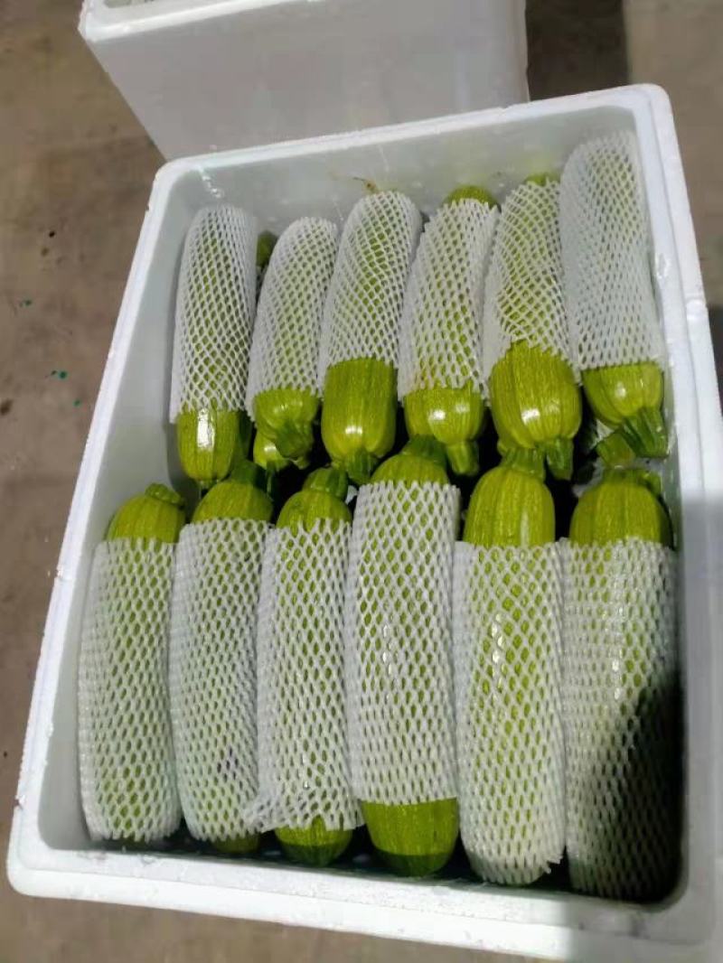精品，西葫芦泡沫箱装，箱装，袋装货。都有