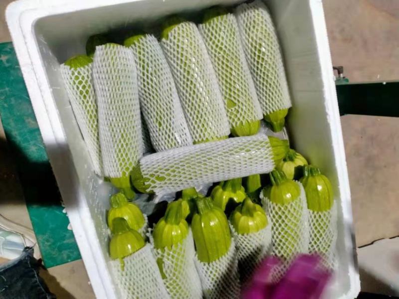 精品，西葫芦泡沫箱装，箱装，袋装货。都有