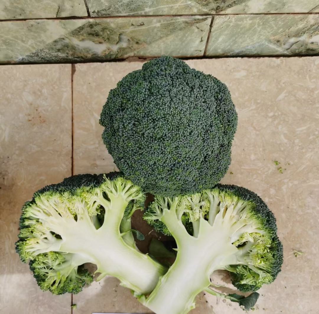 西兰花整株图